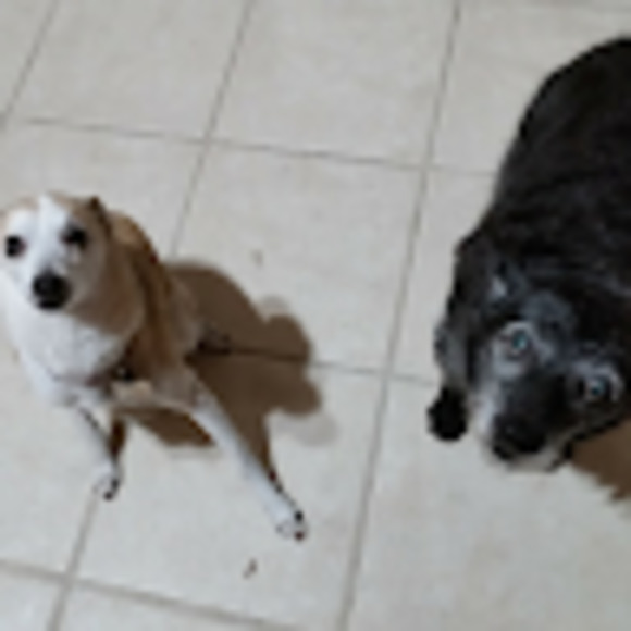 Meet your Posher, Edward - Picture 1 of 1